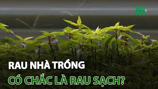 Rau nhà trồng - Có chắc là rau sạch? | VTC14