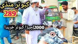 289) Lahore lari ada kabootar mandi || lahore bairds market || کبوتر منڈی