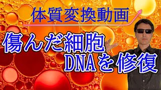 傷んだ細胞、DNAを修復～体質変換動画～