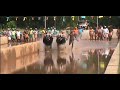 kudhi kambala nandalike a