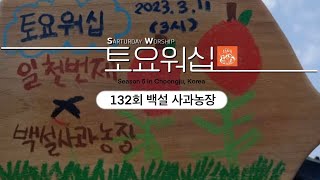 [토요워십 시즌5] 132회_백설 사과농장 | Saturady Worship in Choongju, Korea