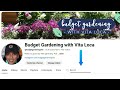 propagate plants easily u0026 for free garden on a budget