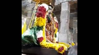 ஸ்ரீசார்ங்கபாணி ஸ்வாமி கோவில்  கும்பகோணம்.கார்த்திகை மாத ஊஞ்சல் உத்சவம் 6ம் திருநாள் ..11/12/24.