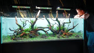 BUILDING A 2 METER AQUARIUM! Part Two: Planting!