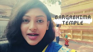 Visit to nearby Shaktipeeth for cousin's marriage preparation | Bargabhima Mandir Tamluk