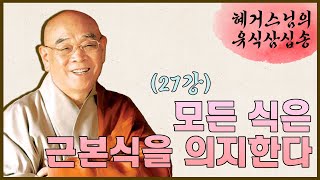 모든 식은 근본식을 의지한다 | 전오식(前五識)의 의지처 [혜거스님의 유식삼십송_27강] # 2003년 제작방영