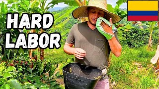 I worked on a Colombian coffee farm (BACKBREAKING LABOR!)