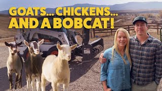 The Goats did WHAT!? | FOUST FARM | Ep. 2