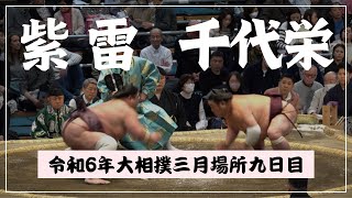 紫雷vs千代栄【令和6年大相撲三月場所九日目】