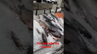 @kuwait lulu fahaheel offer for fish😳