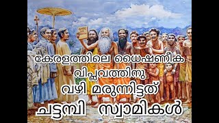 കേരളത്തിലെ നവോത്ഥാന  പ്രവർത്തങ്ങൾക്ക്‌ തുടക്കം കുറിച്ചത്‌ ചട്ടമ്പി  സ്വാമികൾ-ഡോ. എം. ശ്രീനാഥൻ.