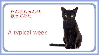 たん子、歌います　 ～A typical week～