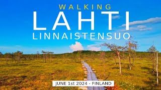 Walking Lahti: LInnaistensuo Mire, June 2024, Finland [4K] #slowtv