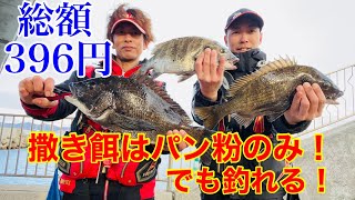 【チヌフカセ】撒き餌はパン粉のみ！でも釣れる！