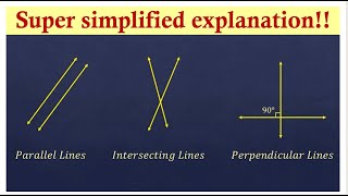 Parallel, Intersecting, and Perpendicular Lines