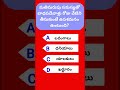 మతిమరుపు సమస్యతో బాధపడేవాళ్లు రోజు వేటిని తీసుకుంటే ఉపశమనం ఉంటుంది general knowledge