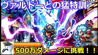 【ロマサガＲＳ】ヴァルドーとの猛特訓！500万ダメージミッションに挑戦！