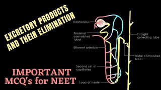 IMPORTANT BIOLOGY MCQ's for NEET || Excretory Products and their Elimination || by Shiksha House