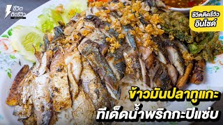 ข้าวมันปลาทูแกะ จานเบิ้มแค่50บาท!! เสิร์ฟคู่มากับ น้ำพริกกะปิ หอมๆ