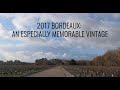 2017 BORDEAUX: AN ESPECIALLY MEMORABLE VINTAGE