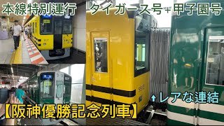 〖本線特別運行〗　３日間限定の「タイガース号」＋「甲子園号」に乗ってきた‼〖阪神優勝記念列車〗