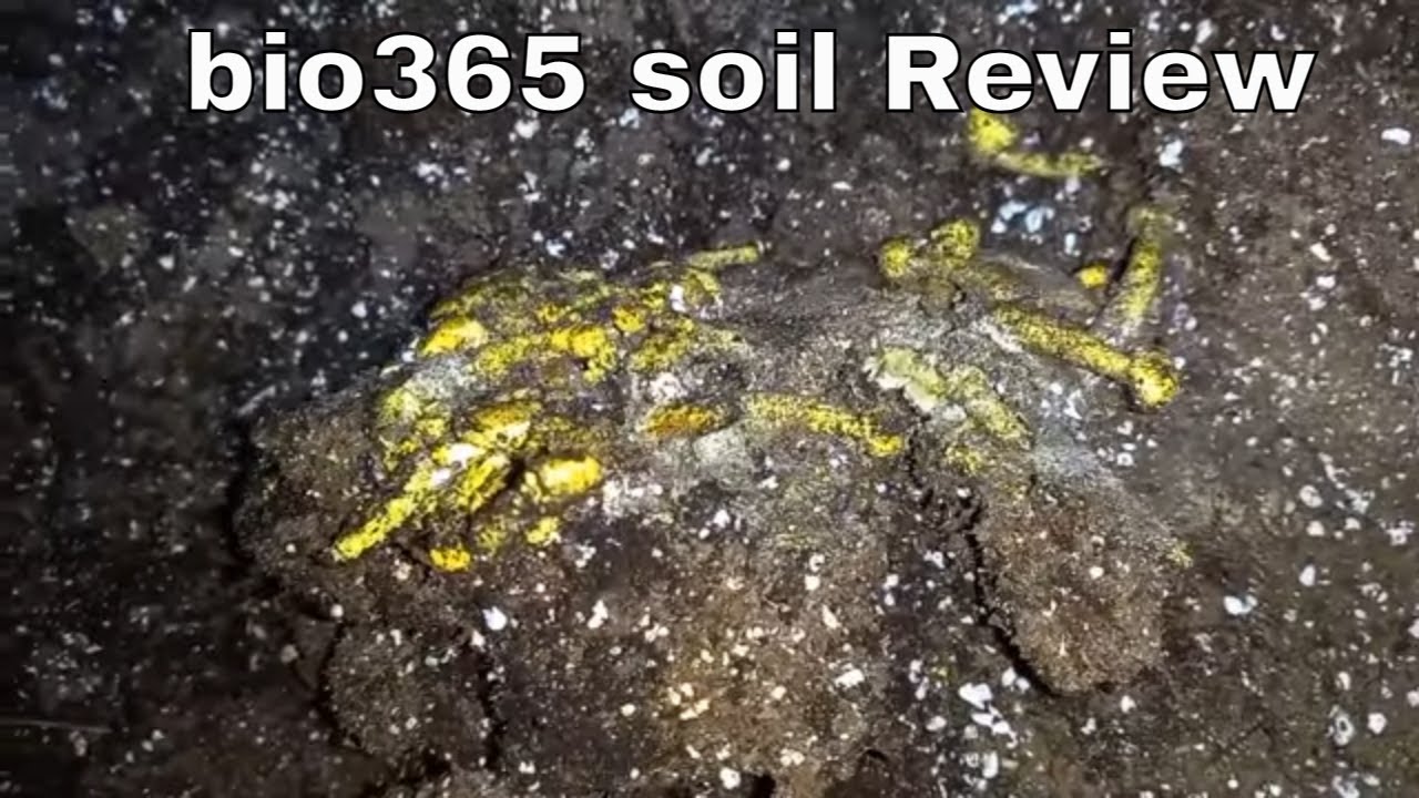 Bio365 Soil Review Youtube