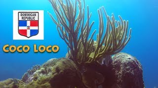 Dominican Republic - Diving Coco Loco with Dressel Divers