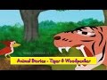 Tiger & Woodpecker | Animal Stories for Kids | Animal Stories for Children HD