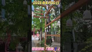 頑張る母さんお出かけチャンネル❗「香取神社風鈴‼️」#2023年4月30日#越谷市#香取神社#風鈴#頑張る母さんお出かけチャンネル