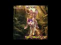 Galactivators - The Coolest Cat (Official Audio)