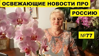 ОСВЕЖАЮЩИЕ НОВОСТИ № 77..ПОЧЕМУ ЖЕ МЫ НЕ ЛЮБИМ ВАС, РОССИЯНЕ?