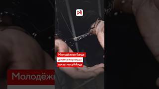 Вымогателей из молодежной среды задержали в Казахстане#молодежь #павлодар #казахстан