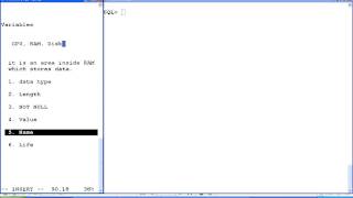 PL/SQL (Variables)