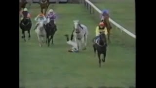 Horse Racing Accident Of Simon Mills