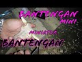 Bagian 1 # Bantengan cara membuat miniatur bantengan, banteng mini