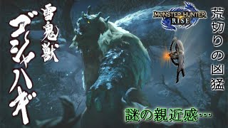 【ゴシャハギ】里★６ 彷徨える雪鬼獣：43【MHRise】