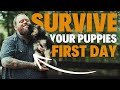 How To Survive The First 24 Hours With Your New Puppy!