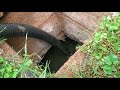 House with Septic Tank? Explanation, Maintenance and Tips