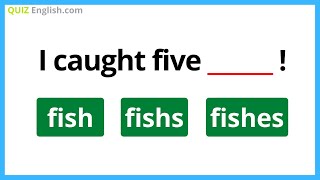 SINGULAR vs PLURAL NOUNS