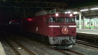 【団体専用ブルートレイン『ゆうづる』号】EF81 137[青]+24系青森車　小山・宇都宮