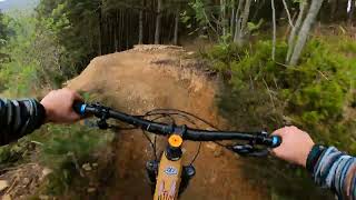 Tirpentwys Trails - Bob Gnarly trail