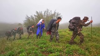 高黎貢山で絶滅危惧種「滇桐」の個体群を発見　雲南省