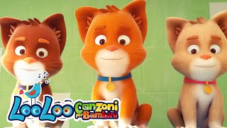 Tre piccoli gattini + altre canzoni educative con animali per bambini | LooLoo Canzoni per Bambini