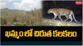 ఖమ్మం లో చిరుత కలకలం | Cheetah Roaming in Khammam | Mahaa News