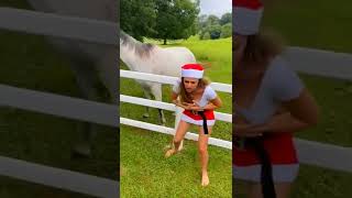 Bad romance horse - spoiled horse #girl #shorts #horse #Bad Romance horse #horseworld #badhorse