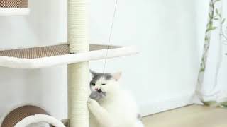 Electronic Motion Cat Toy