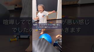 えらいね#3歳 #3歳児#3児のパパ#3歳11ヶ月#1歳11ヶ月#1歳#1歳児#育児 #育児あるある#子供のいる暮らし#育児パパ #家庭#犬#犬のいる暮らし#動物#トイプードル#イヤイヤ期#喧嘩#兄弟