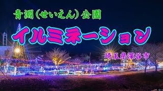 【青淵公園のイルミネーション】１万円札の肖像となる「渋沢栄一」ゆかりの青淵公園（せいえんこうえん）で、地域住民ボランテア手作りの大規模イルミネーションの点灯が始まった。