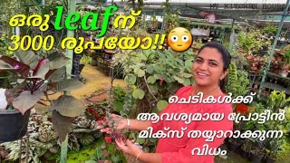 ചെടികളുടെ വിസ്മയ ലോകം 😇| Garden tour | Amazing plant collection in kerala | ജൈവ വളങളും