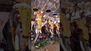 Thrikkakara Vamanamoorthy temple pakalpooram |Happy onam